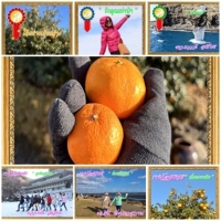 รางวัลภาพถ่ายยอดเยี่ยม สัมมนาท่องเที่ยวต่างประเทศ JEJU